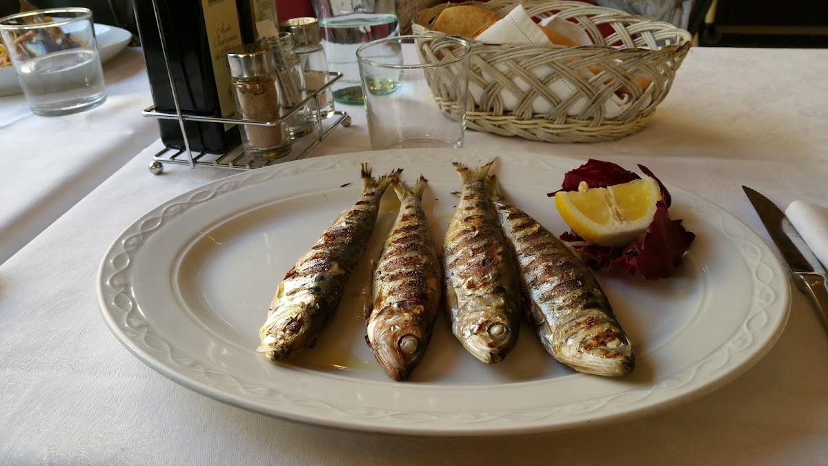 Pizzeria Ristorante Catullo - 2